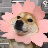 하이마트 동김해점