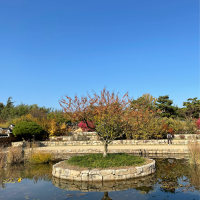 Seize the day 전원일기ᰔᩚ