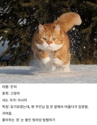 먹보리의 먹고 보는 일기