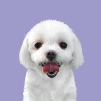 유키애미의 라이프 스타일