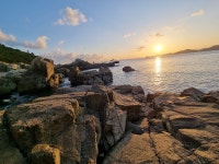 토브의 자유로운 일상