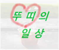 뚜띠의 일상기록