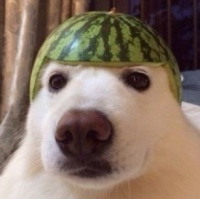 태어나서 사는사람