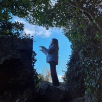 은화수목금토일