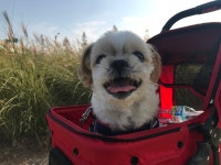 쿠키누나의 일상기록