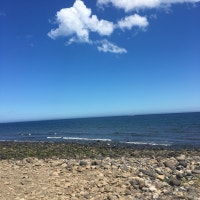 linemate님의 블로그