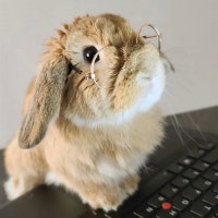 뽀또이모의 행복한 오늘