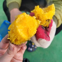 막입아재님의 지극히 개인적인 리뷰