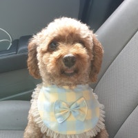 다복이네 만물상