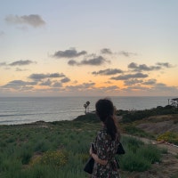 내맘대로 왈라비 아카이브