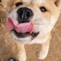 소소하지만, 확실한 행복