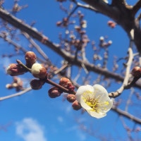 일상 속 힐링(여행/맛집/요리)
