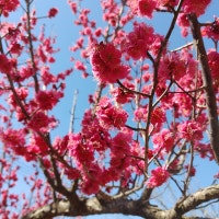 하루살이의 하루기록