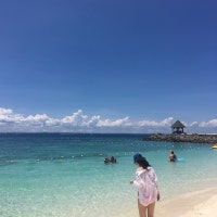 강강이의 다운타운