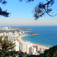 포포아' 부산한 일상여행