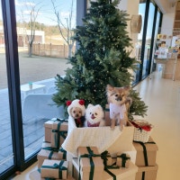 서팀장의 부동산이야기