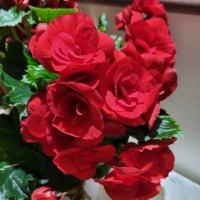 수연 뷰티 건강 연구원