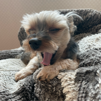 응쨩의 먹고여행하는 블로그