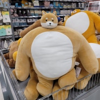 30년 부산 토박이의 블로그