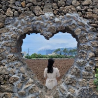 30년 부산 토박이의 블로그