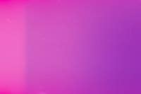 강아지 분양 NO.1 KANG_PUPPY