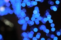 러블리 두리 행복일상