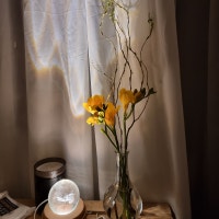 happiness :) 맛집&여행