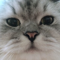 푸드곽의 먹스토리