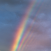 응비니의일상력