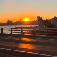 결코 한가하지 않은 블로그