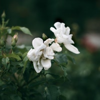 박 미라클님의 블로그