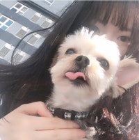 포키누나의 먹고 노는 욜로인생 ♬♪