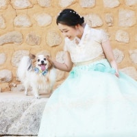 낭만적인 현실주의자