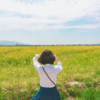 샛순이의 수니수니 마수리