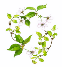 아카..행운이 나에게로 오는 중..