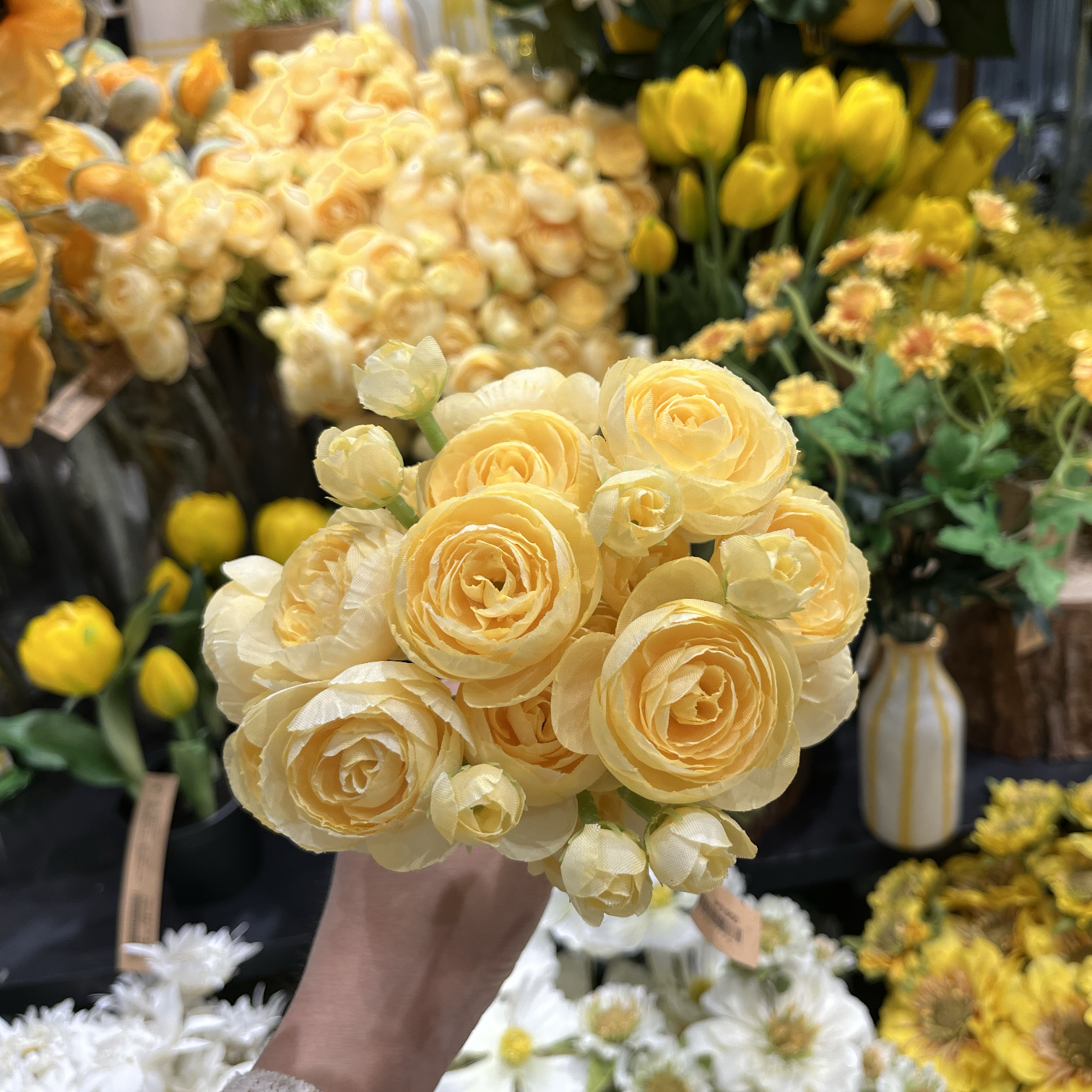 프로필
