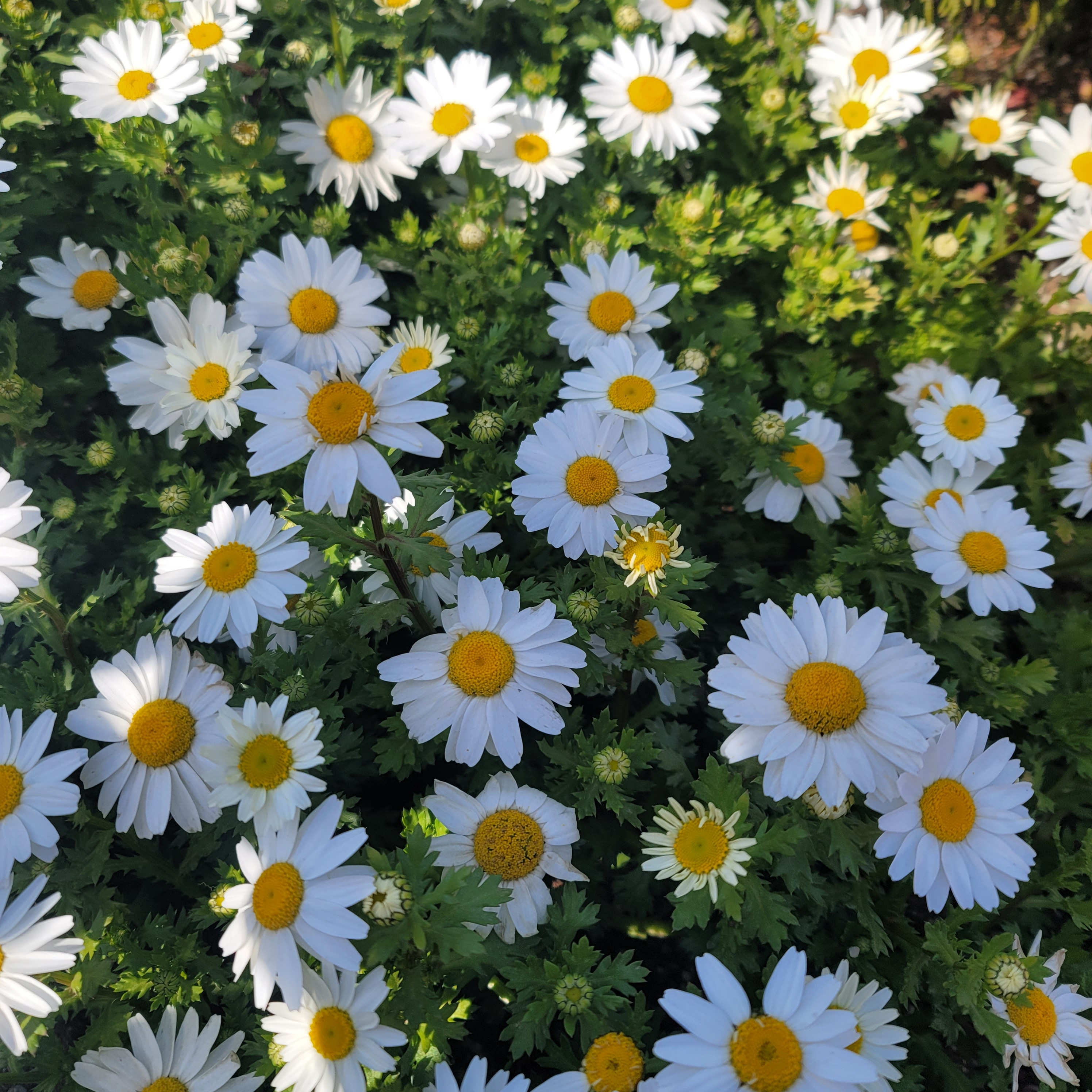 프로필