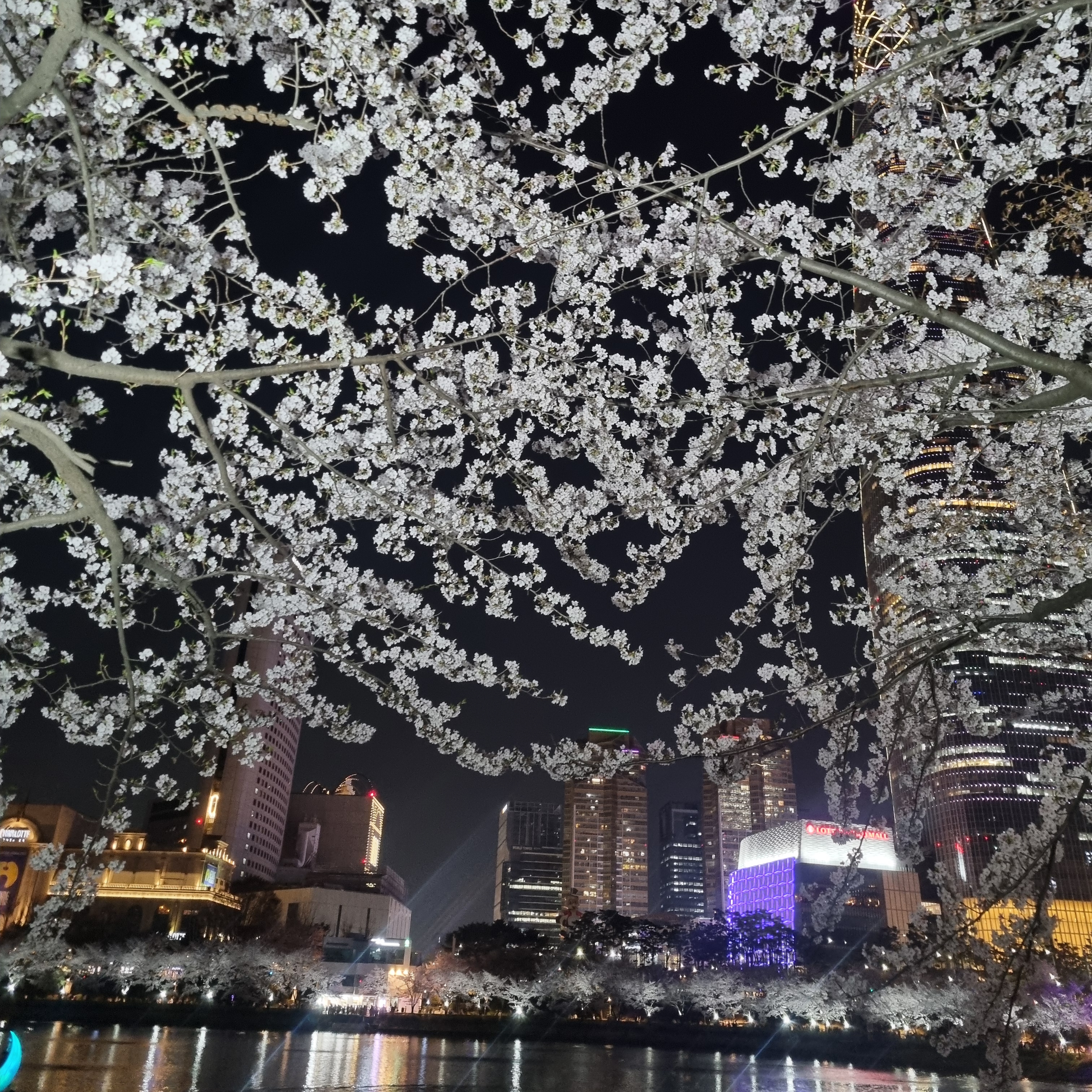 프로필