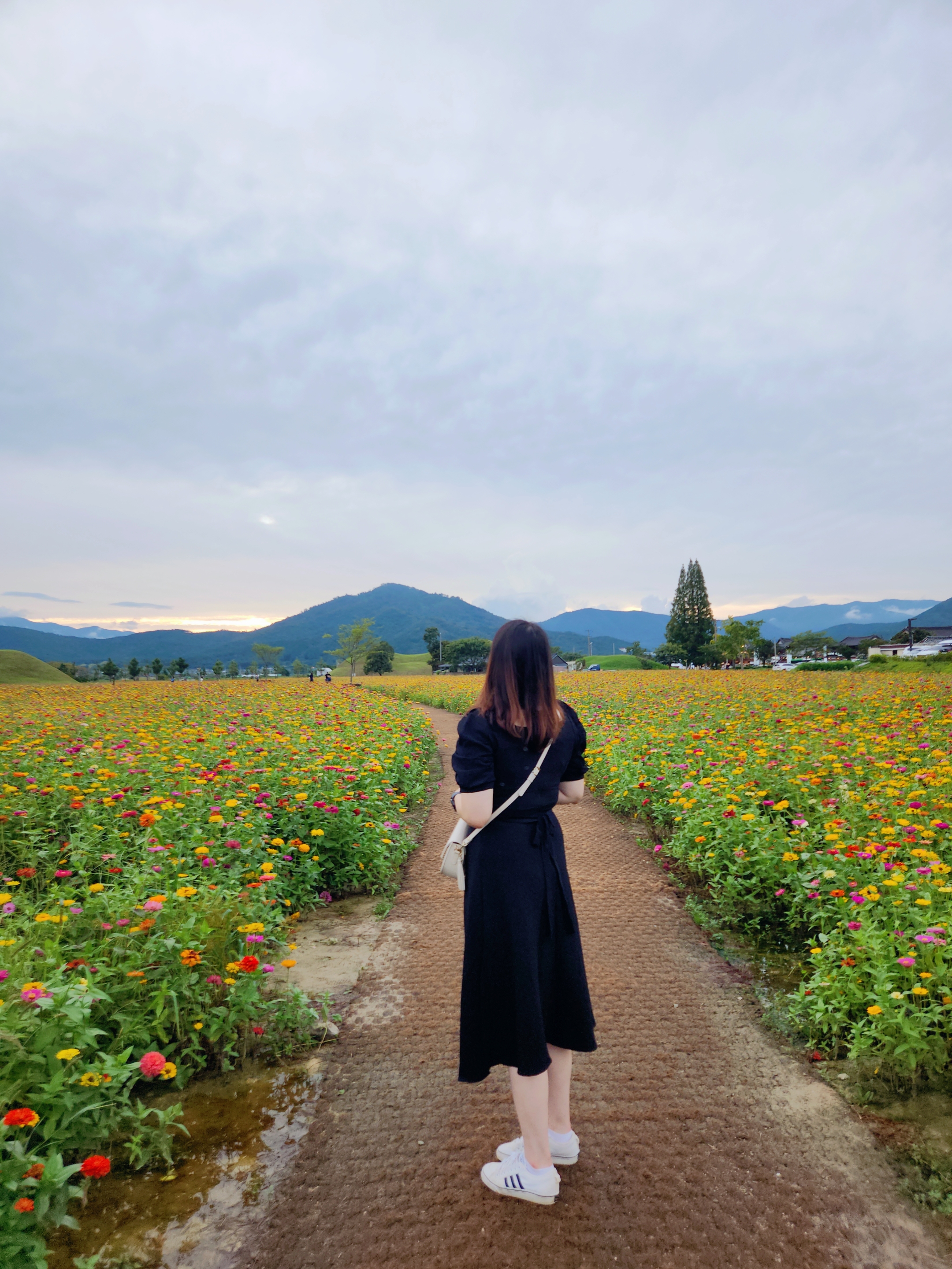프로필