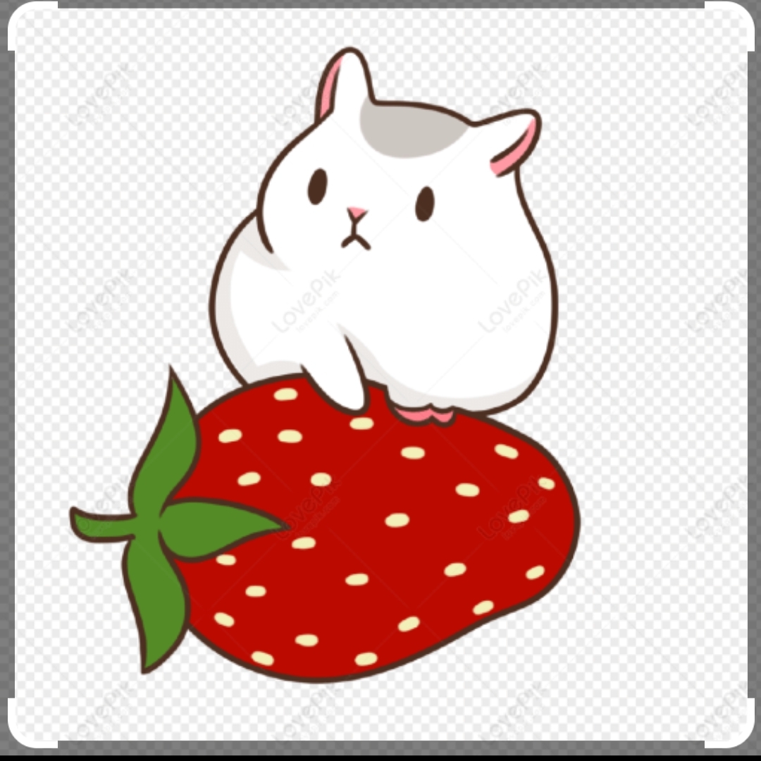 프로필