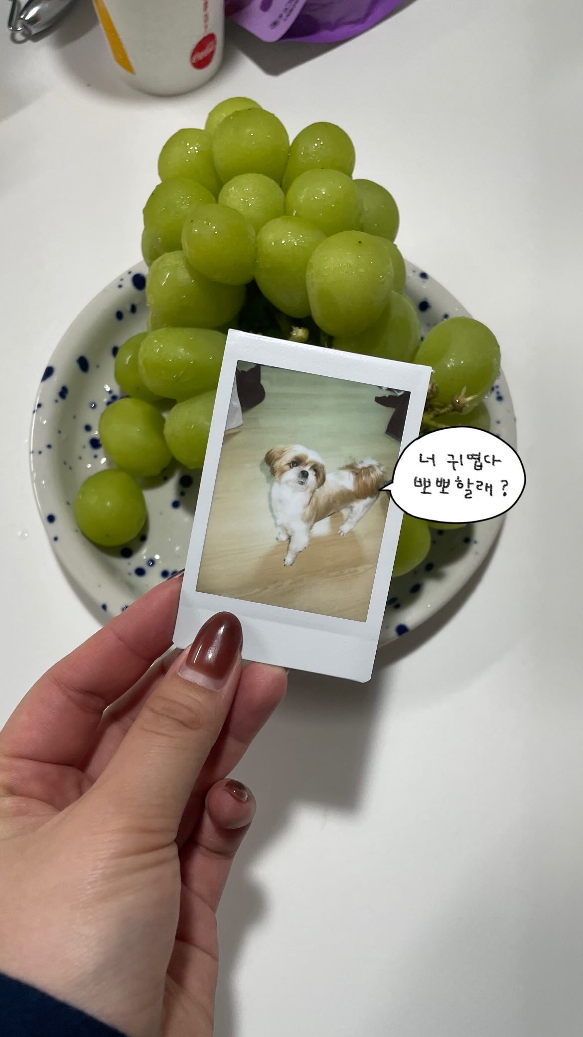 프로필