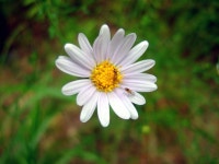 나윤맘의 행복찾기