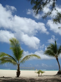 인생의 빛나는 순간, 나의 아름다운 책장